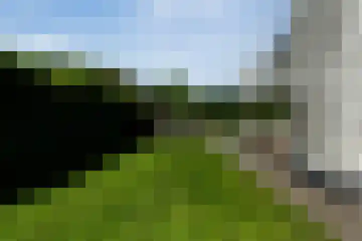 Kieftenweg 73 Dalen thumbnail 61