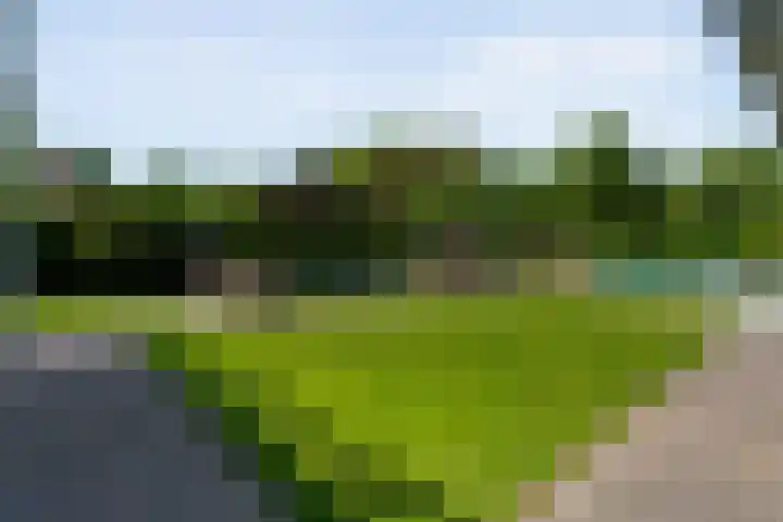 Kieftenweg 73 Dalen thumbnail 62