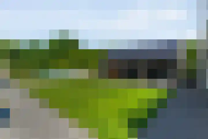 Kieftenweg 73 Dalen thumbnail 63