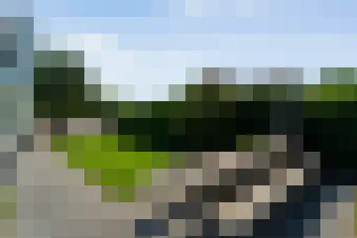Kieftenweg 73 Dalen thumbnail 64