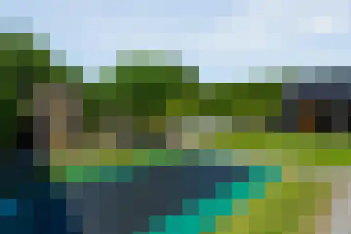 Kieftenweg 73 Dalen thumbnail 65