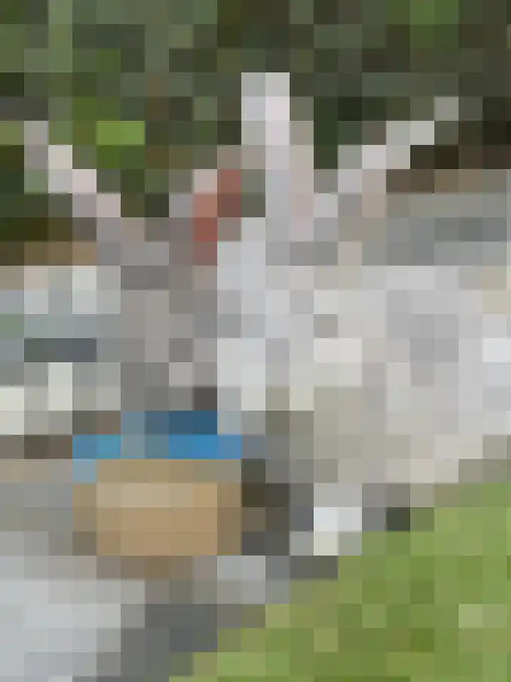 Kieftenweg 73 Dalen thumbnail 67