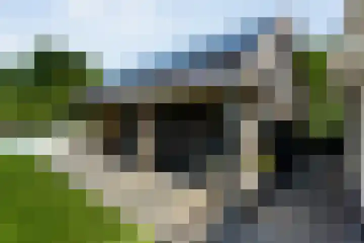 Kieftenweg 73 Dalen thumbnail 76