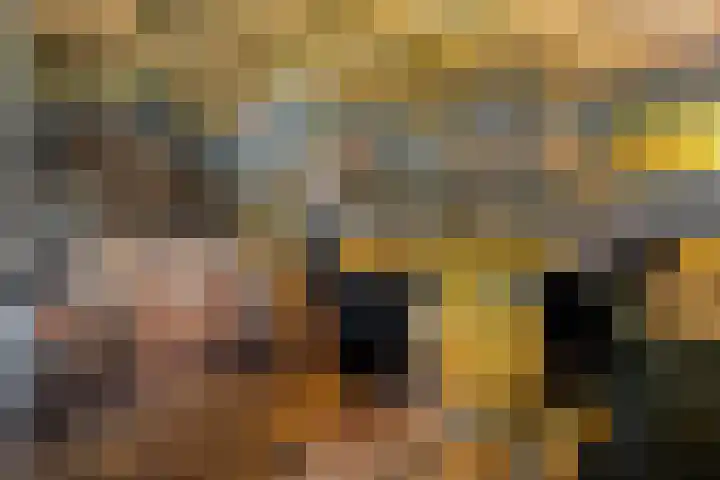 Kieftenweg 73 Dalen thumbnail 78