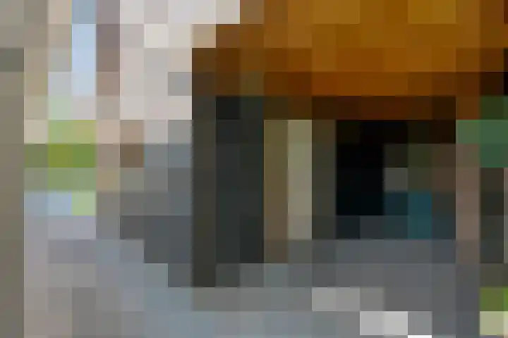 Kieftenweg 73 Dalen thumbnail 81