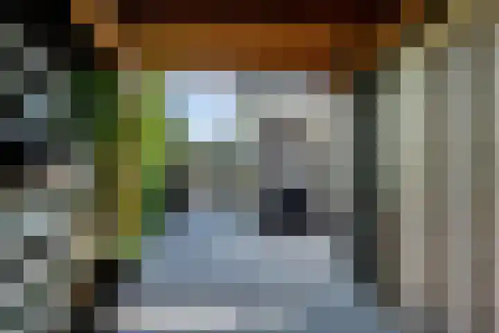 Kieftenweg 73 Dalen thumbnail 82