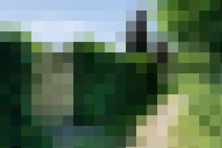 Kieftenweg 73 Dalen thumbnail 84