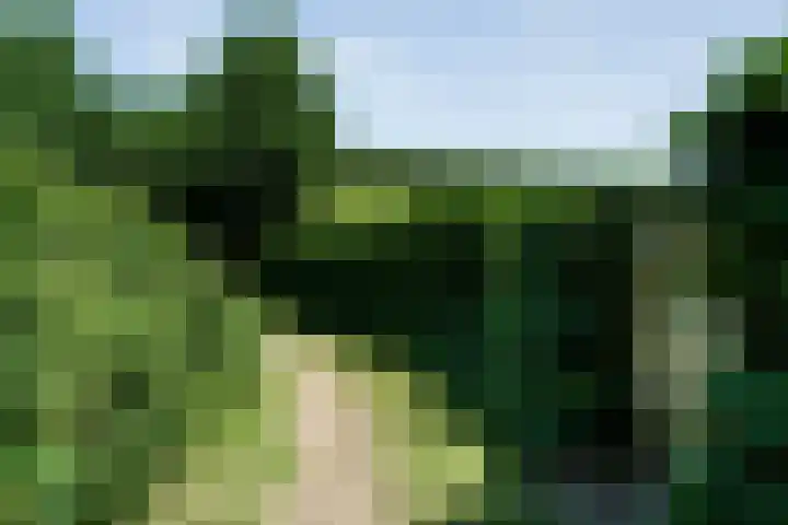 Kieftenweg 73 Dalen thumbnail 85