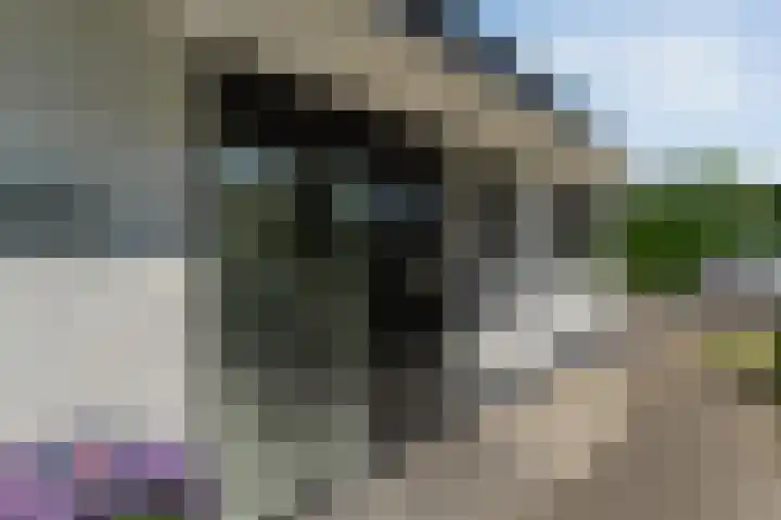Kieftenweg 73 Dalen thumbnail 9