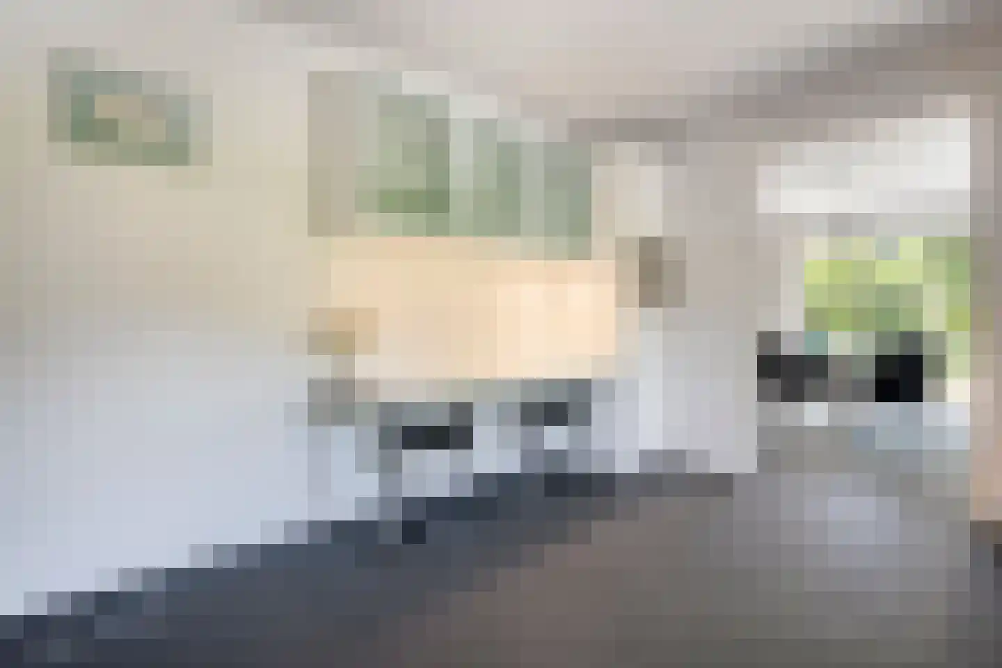 Kieftenweg 75 Dalen thumbnail 19