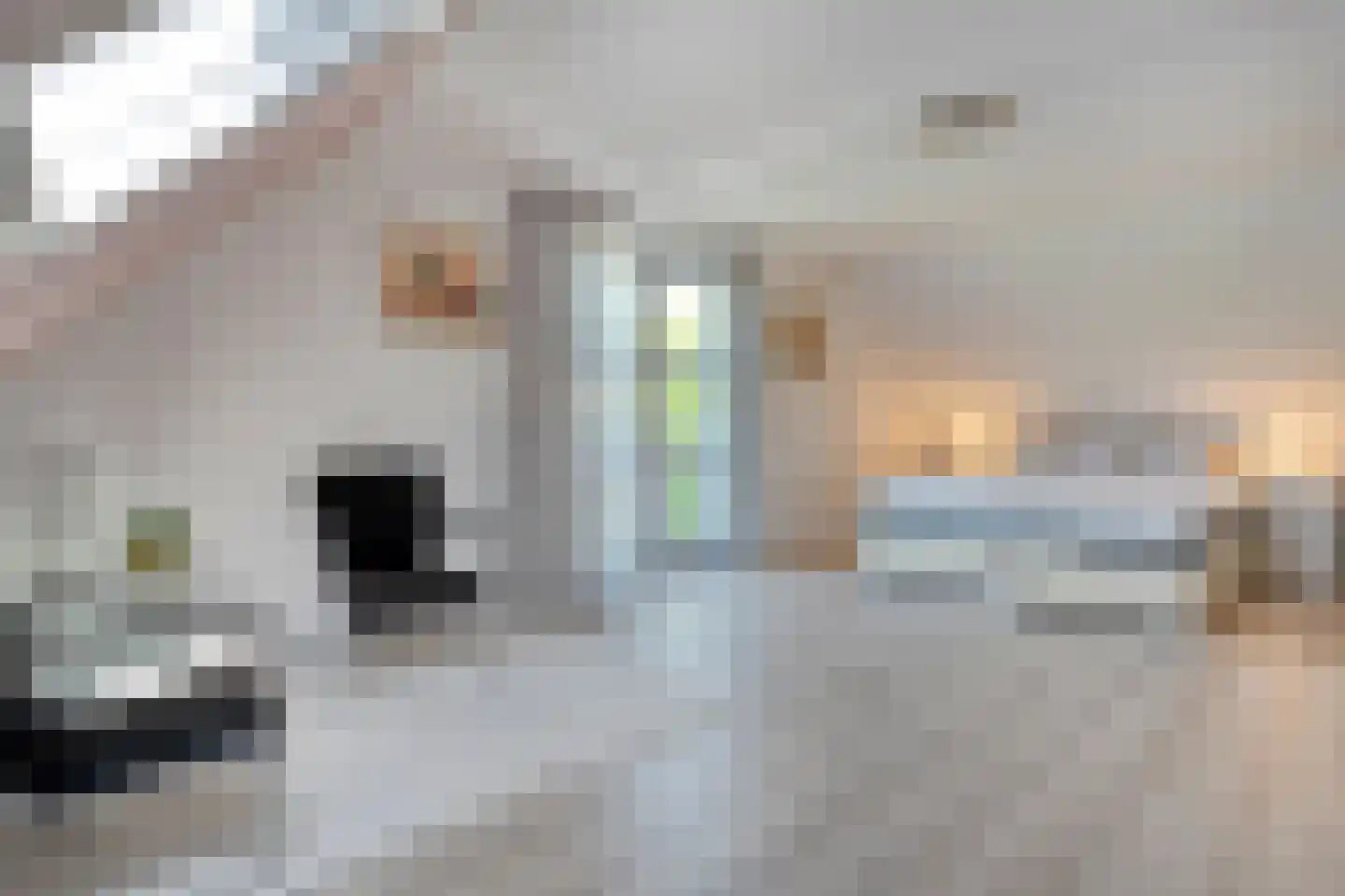 Kieftenweg 75 Dalen thumbnail 30