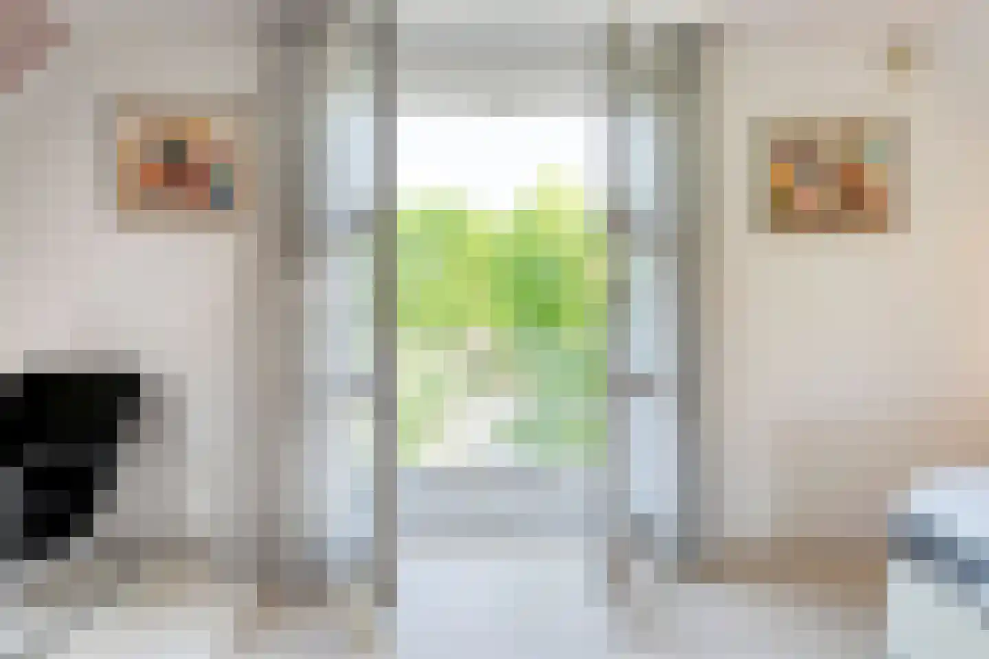 Kieftenweg 75 Dalen thumbnail 31