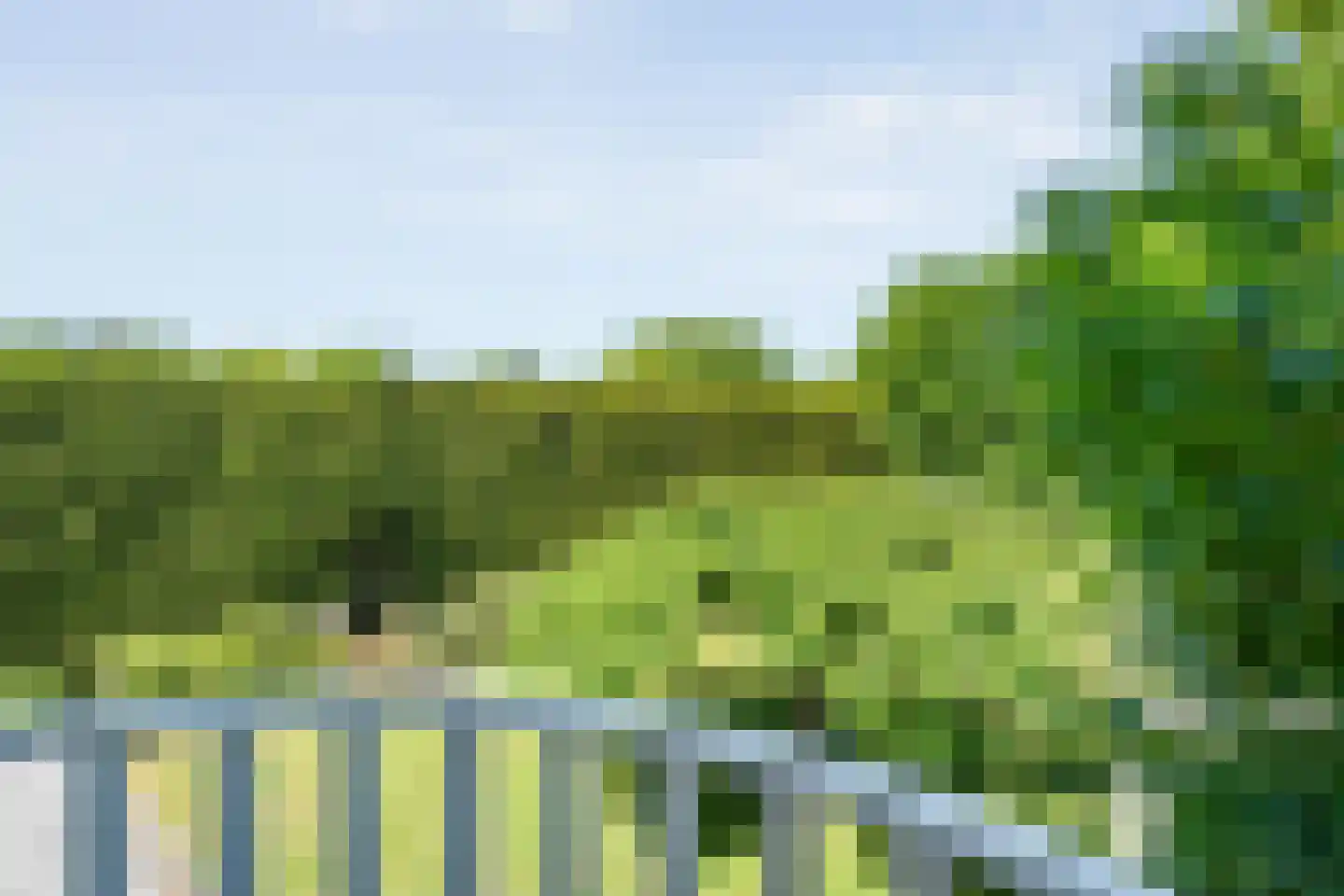 Kieftenweg 75 Dalen thumbnail 32