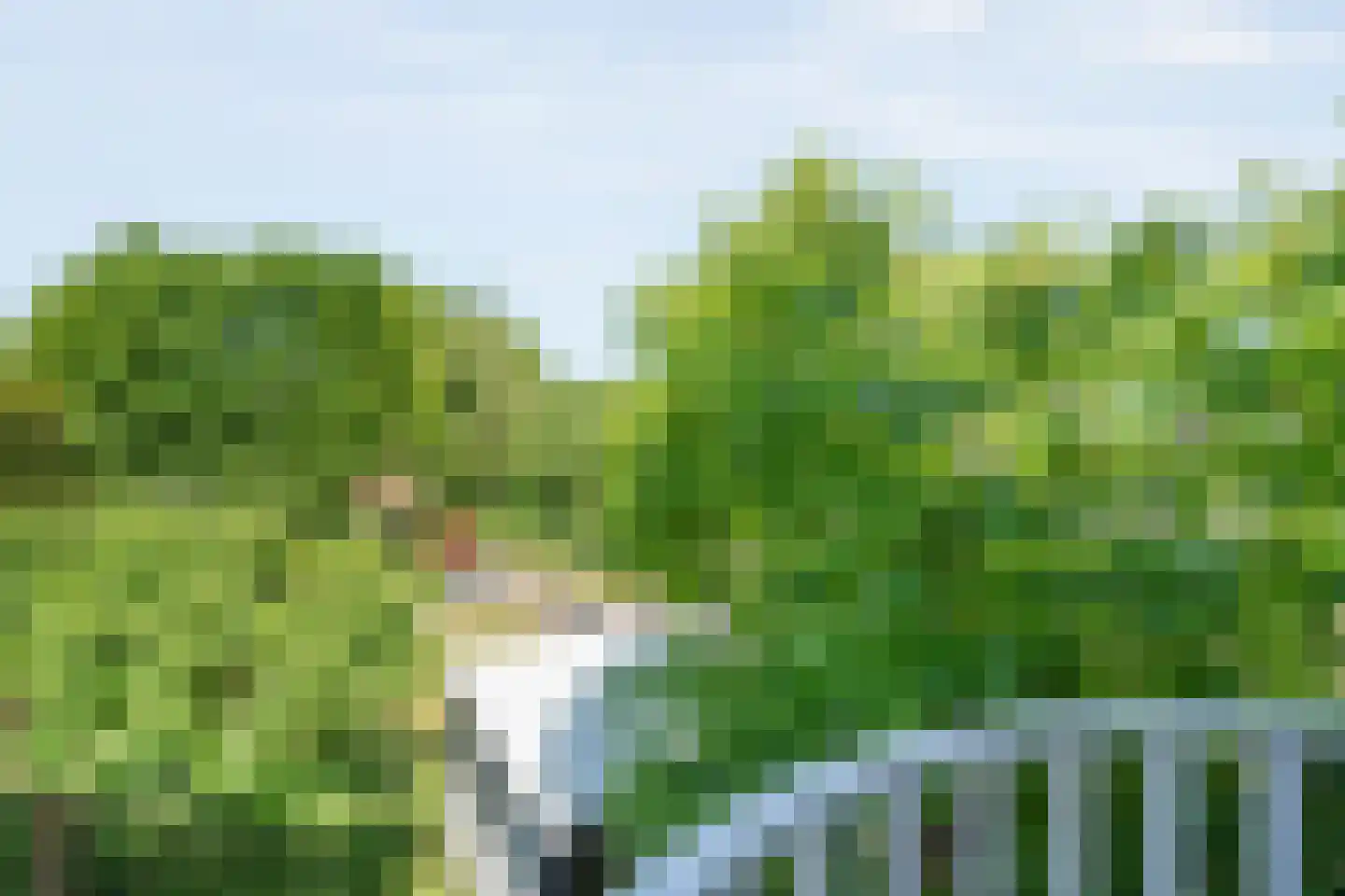 Kieftenweg 75 Dalen thumbnail 33