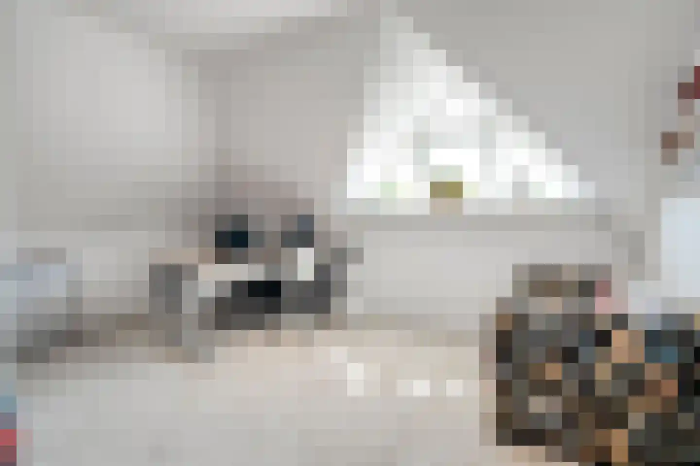 Kieftenweg 75 Dalen thumbnail 37