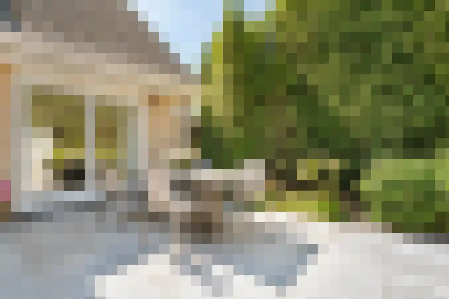 Kieftenweg 75 Dalen thumbnail 40