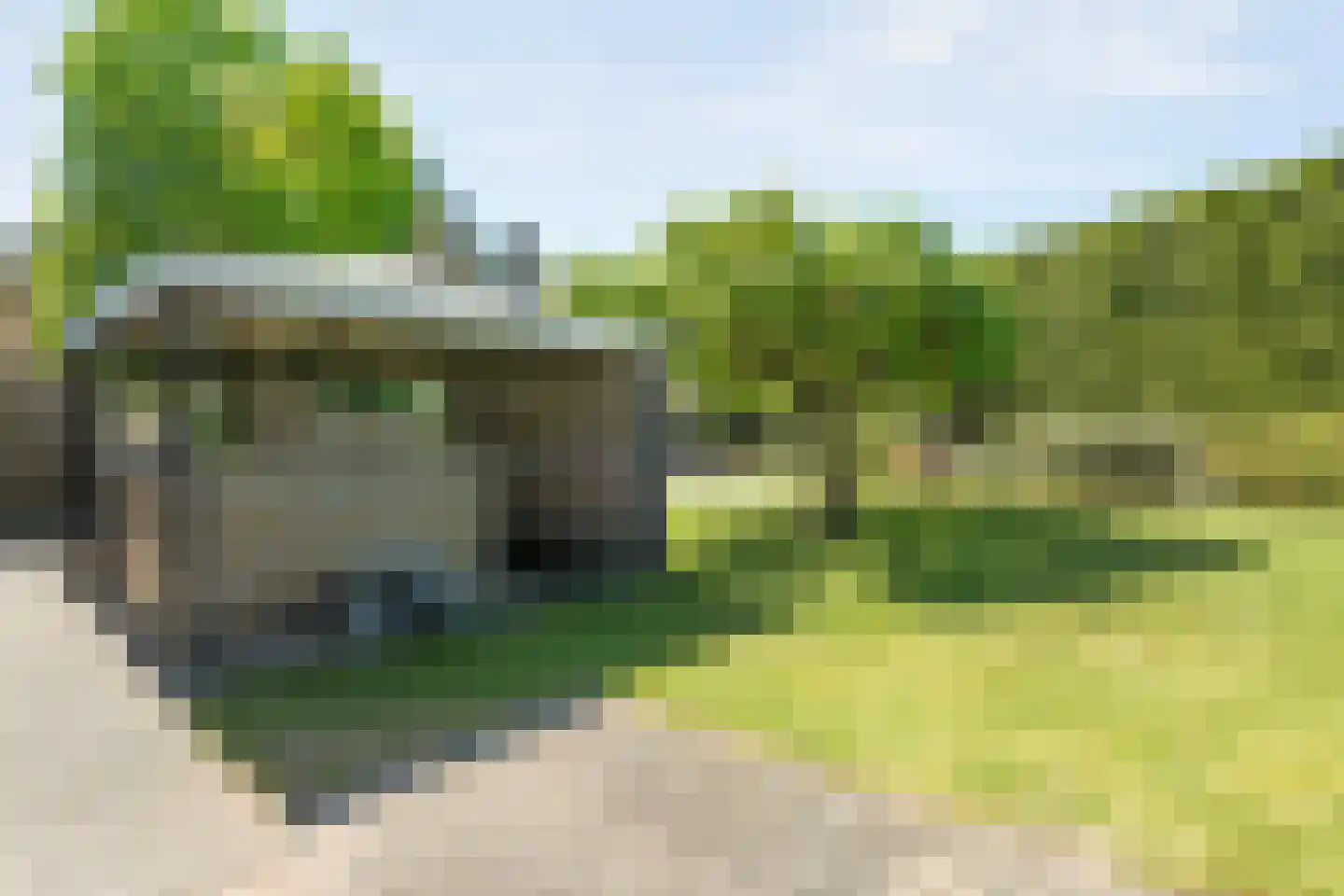 Kieftenweg 75 Dalen thumbnail 45