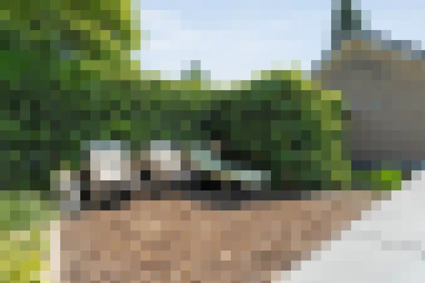 Kieftenweg 75 Dalen thumbnail 46