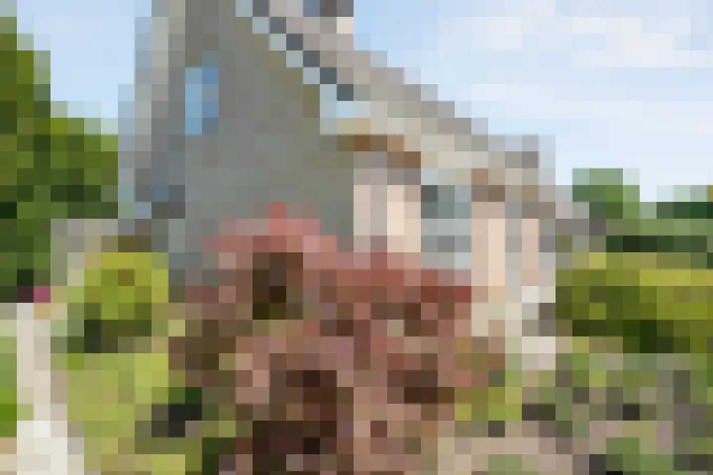 Kieftenweg 75 Dalen thumbnail 50