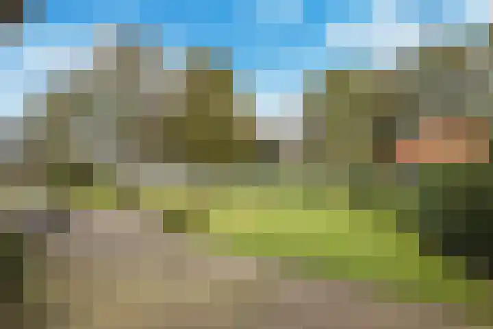 Kiefteweg 43 Eibergen thumbnail 56