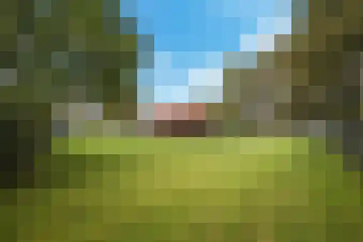 Kiefteweg 43 Eibergen thumbnail 60