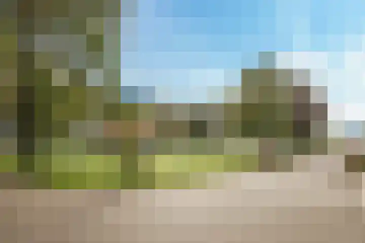 Kiefteweg 43 Eibergen thumbnail 64