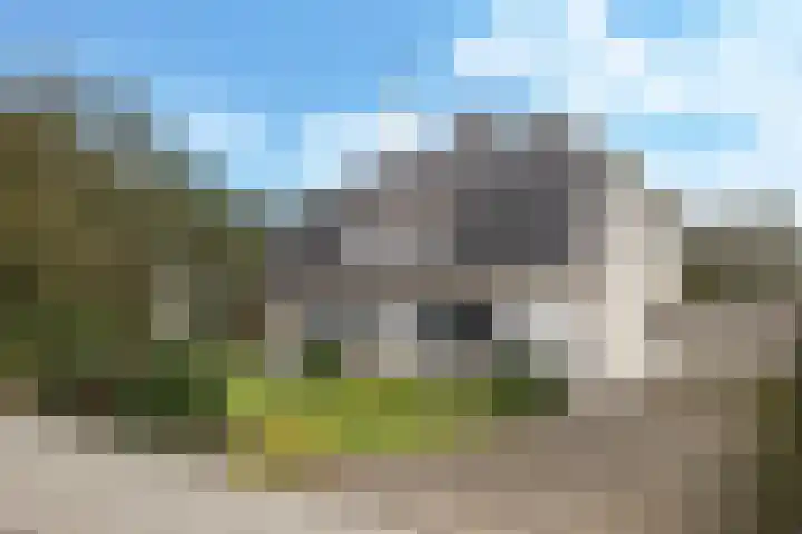 Kiefteweg 43 Eibergen thumbnail 7