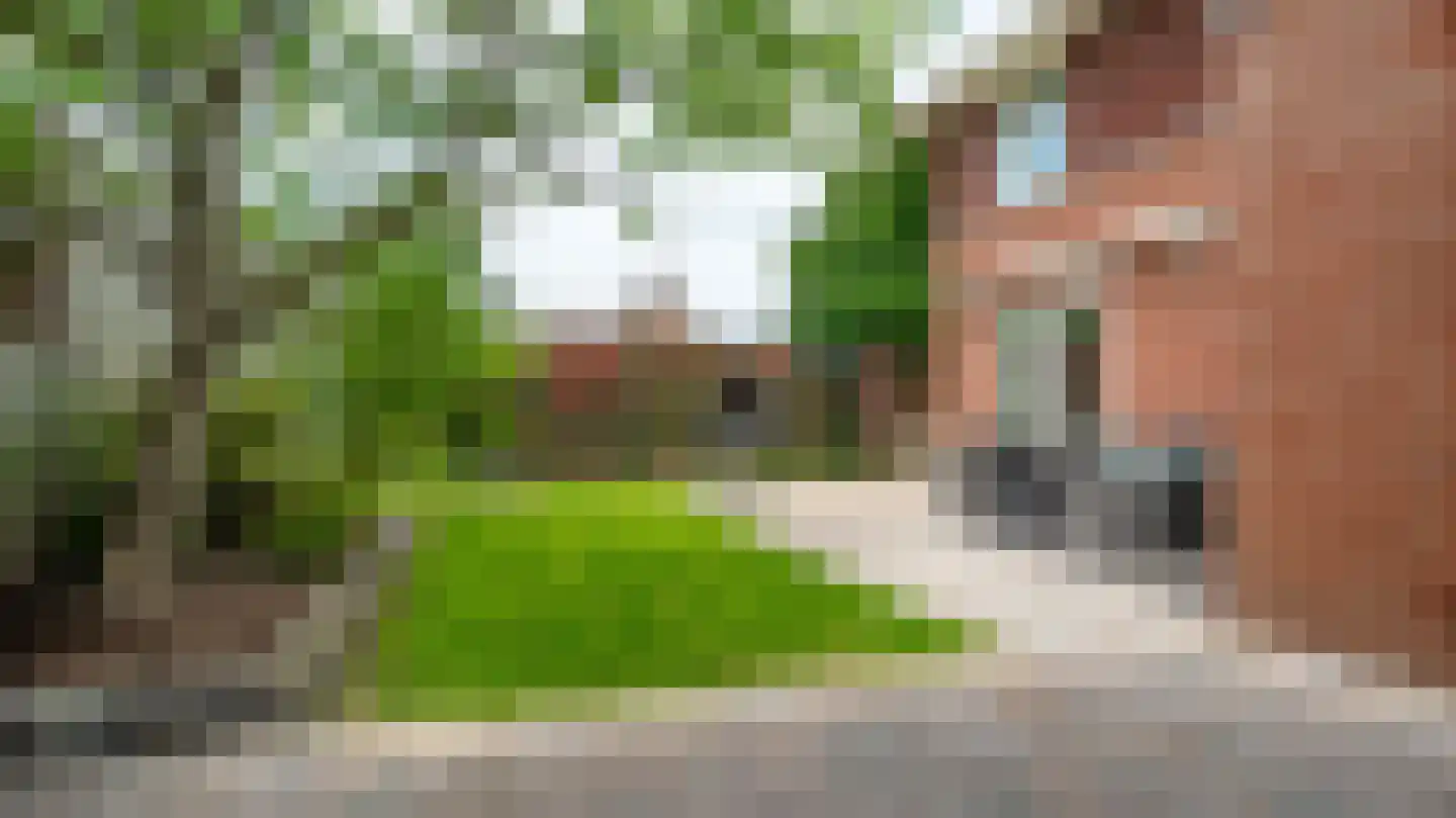 Kieftsbeeklaan 25 Almelo thumbnail 30