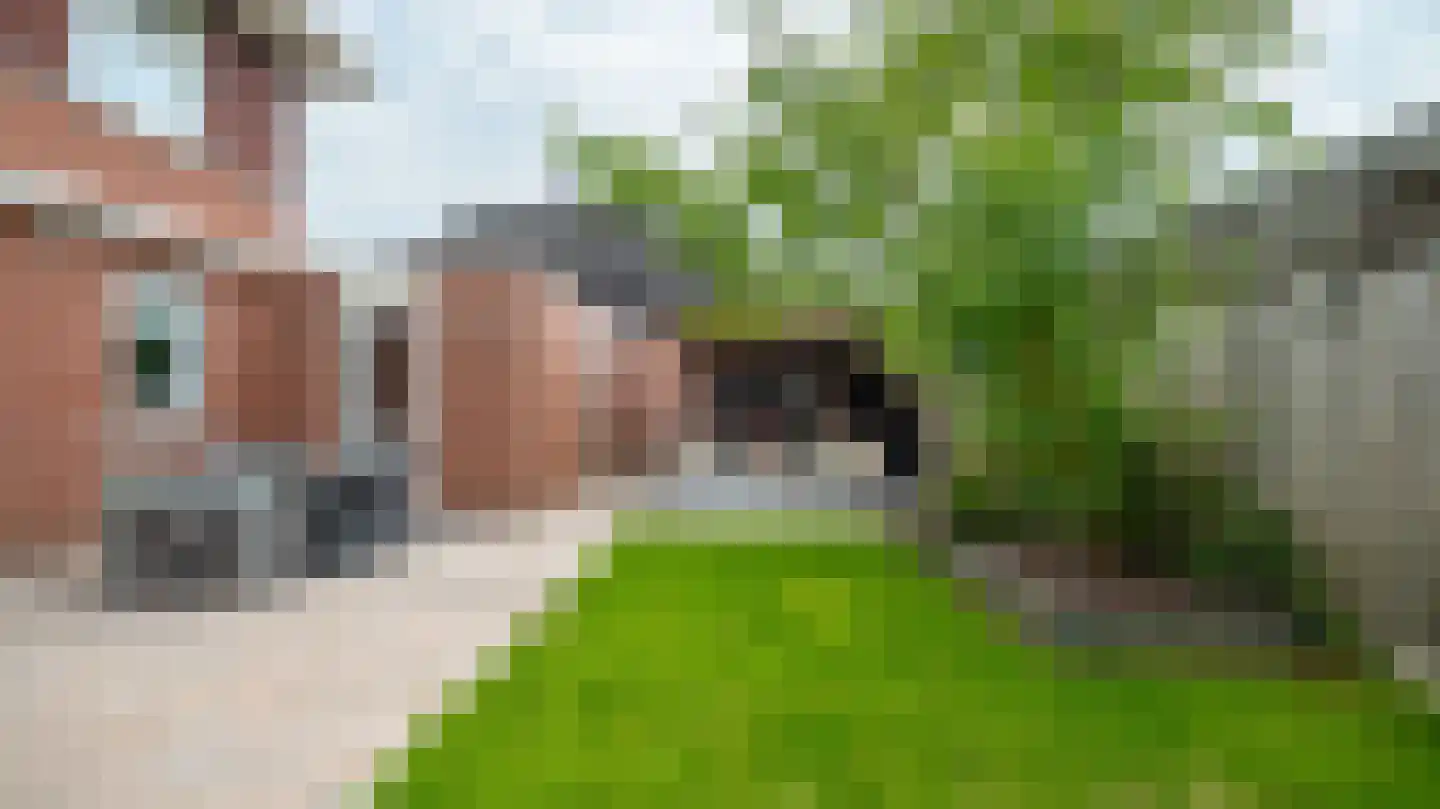Kieftsbeeklaan 25 Almelo thumbnail 32