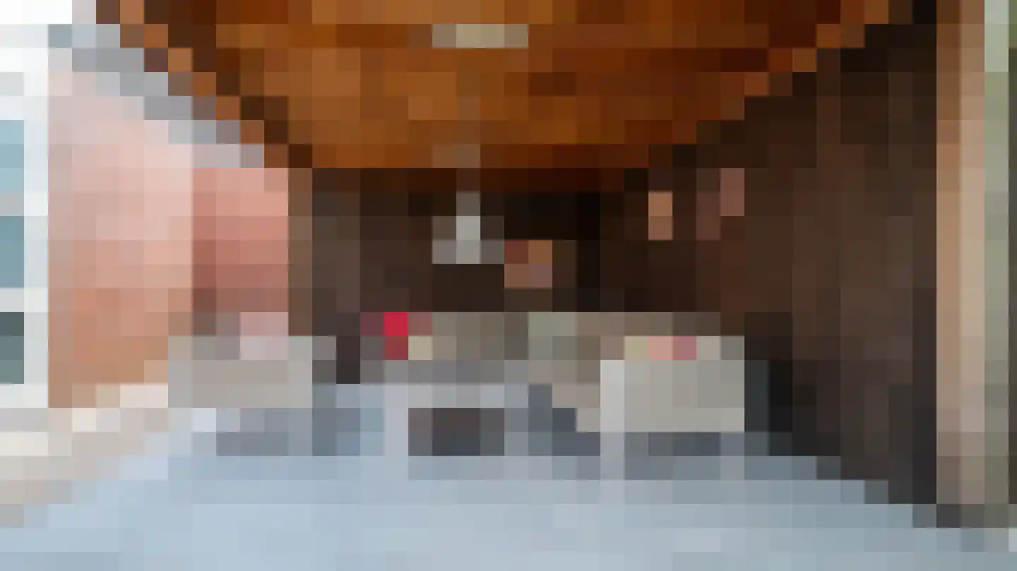 Kieftsbeeklaan 25 Almelo thumbnail 34