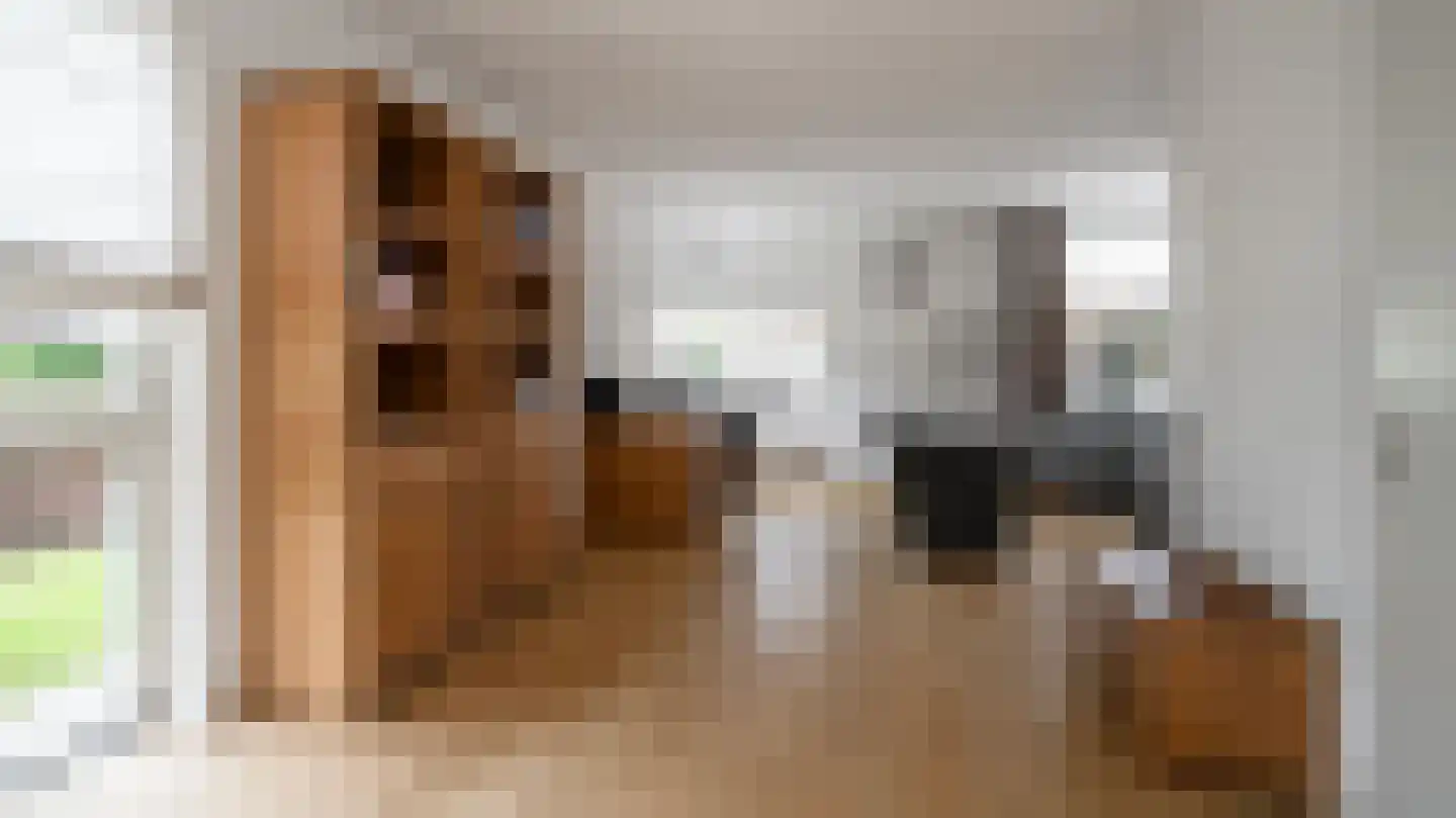 Kieftsbeeklaan 25 Almelo thumbnail 6