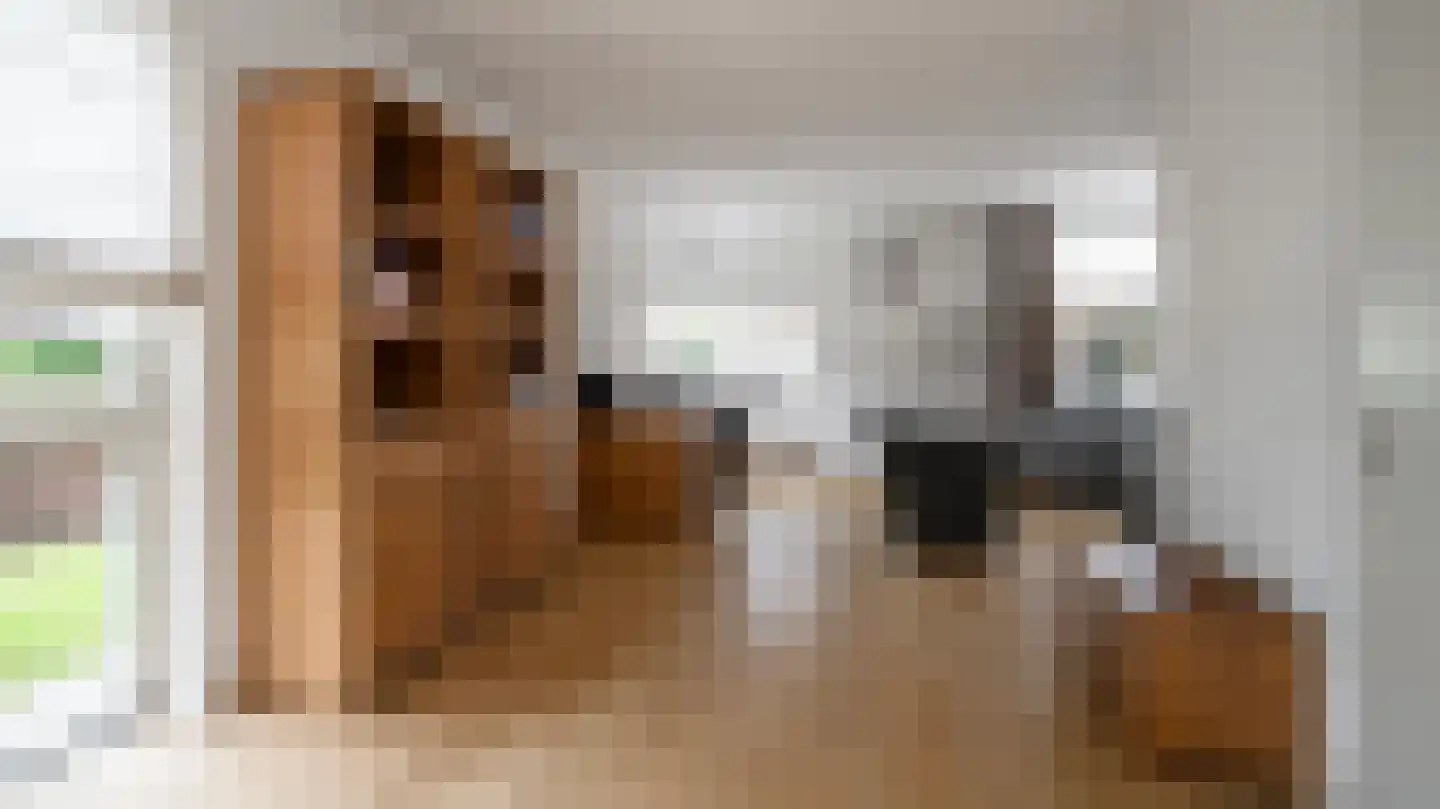 Kieftsbeeklaan 25 Almelo thumbnail 7