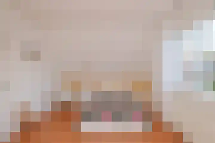 Kieftsbeeklaan 32 Almelo thumbnail 26