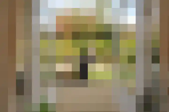 Kieftsbeeklaan 32 Almelo thumbnail 30