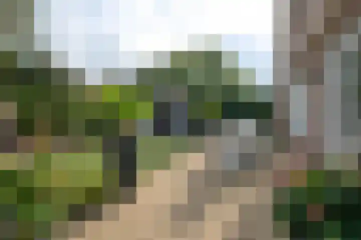 Kieftsbeeklaan 32 Almelo thumbnail 31