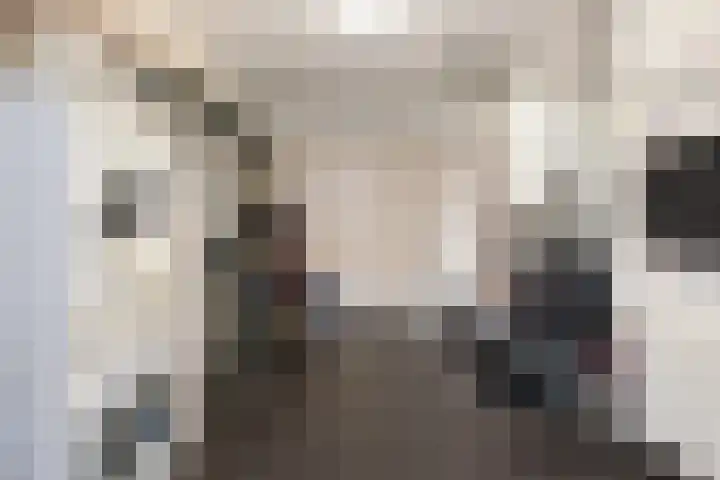 Kieftsbeeklaan 32 Almelo thumbnail 43