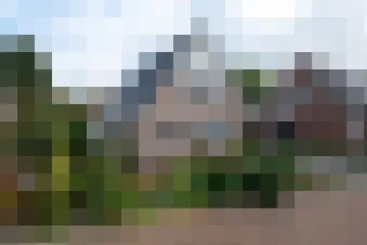 Kieftsbeeklaan 32 Almelo thumbnail 45