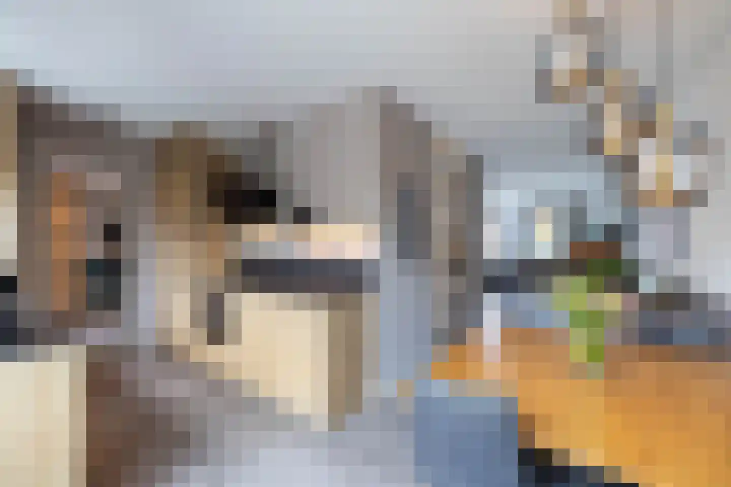Kieftsbeeklaan 55 Almelo thumbnail 10