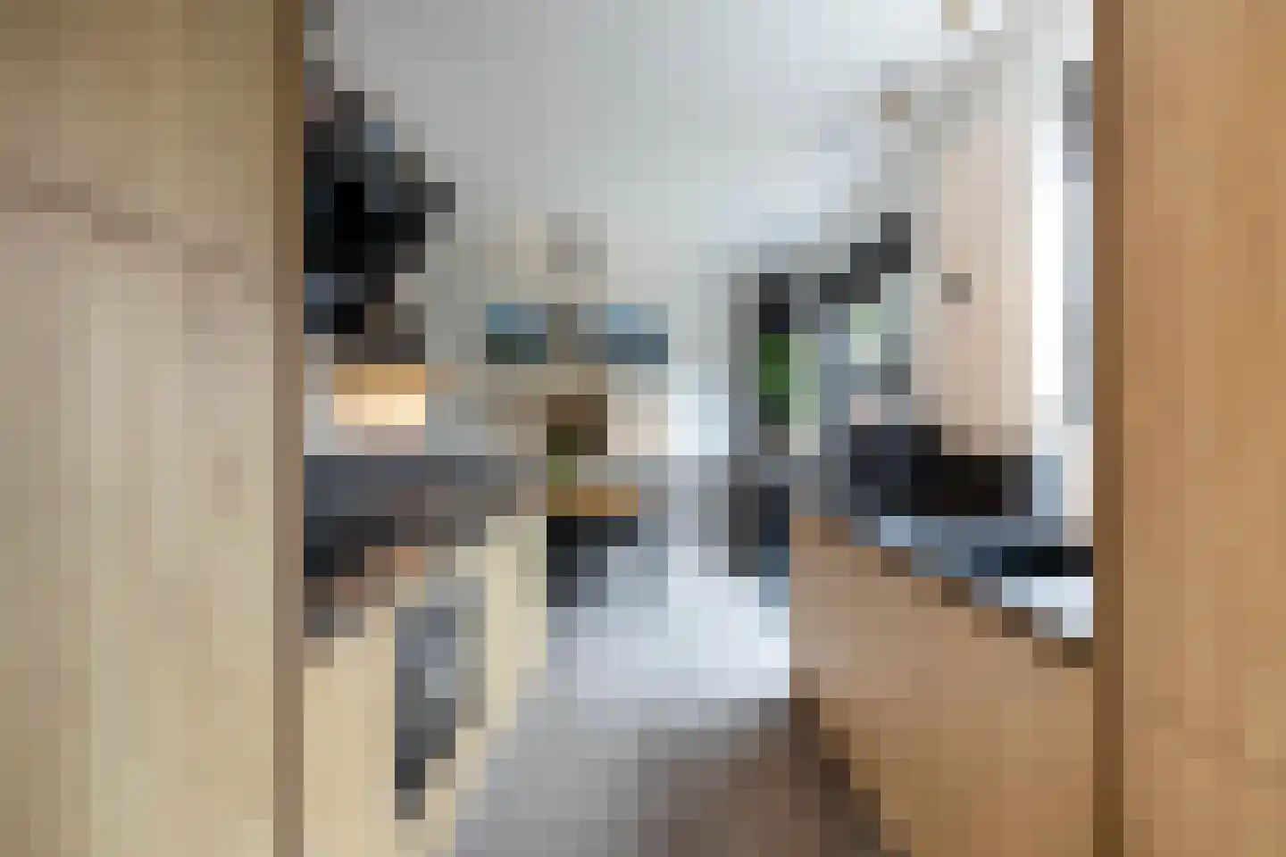 Kieftsbeeklaan 55 Almelo thumbnail 11
