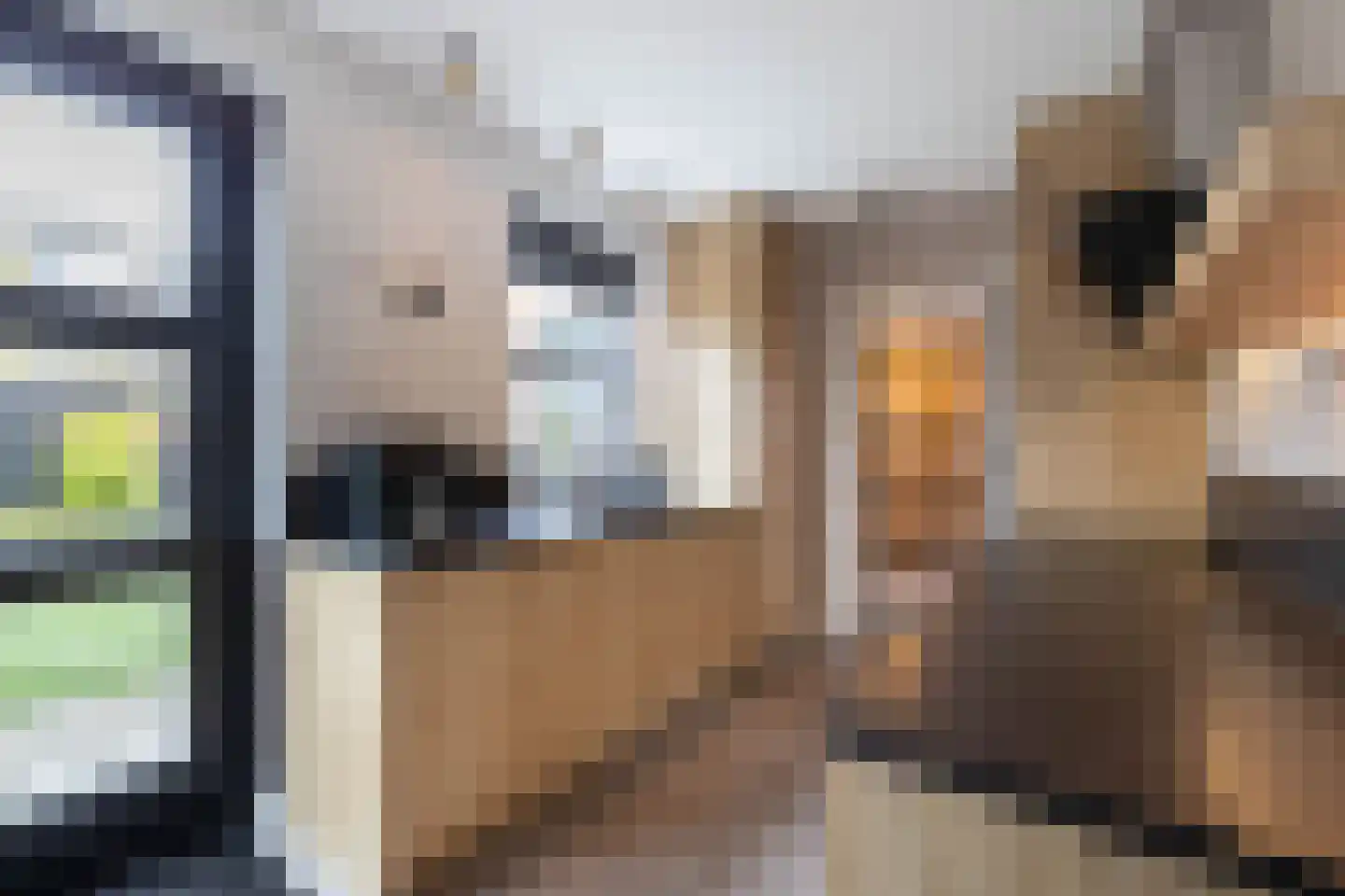 Kieftsbeeklaan 55 Almelo thumbnail 12