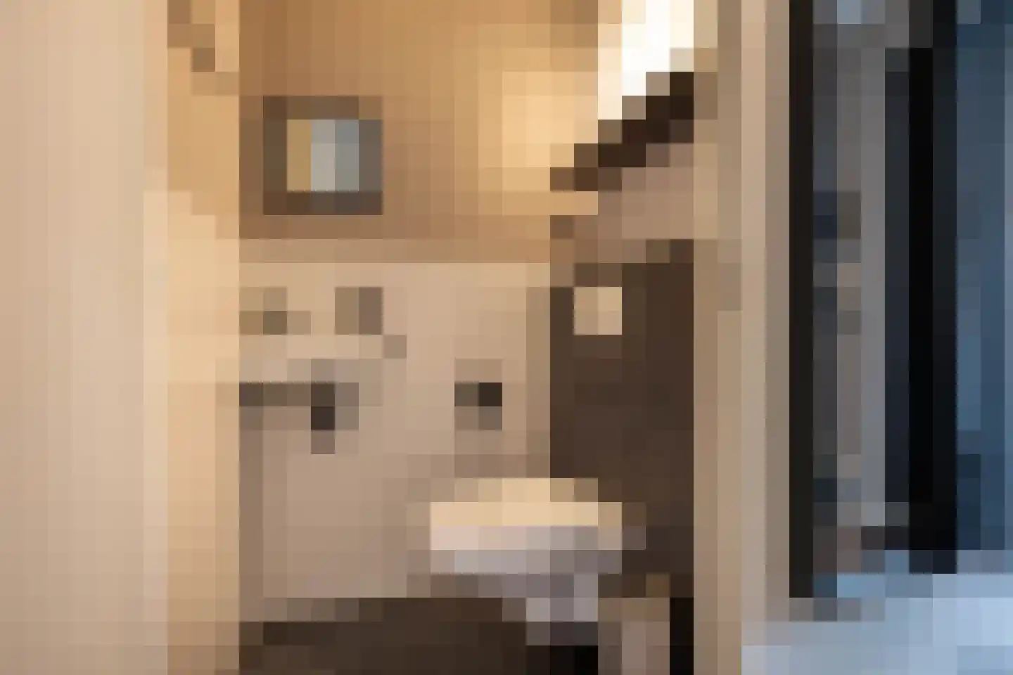 Kieftsbeeklaan 55 Almelo thumbnail 17