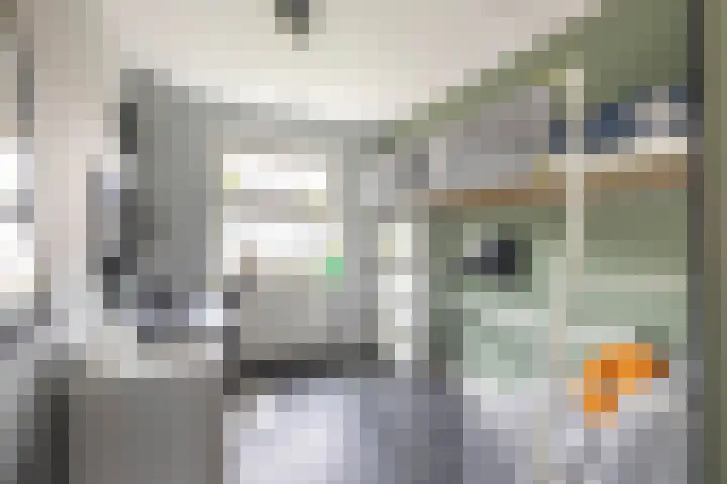 Kieftsbeeklaan 55 Almelo thumbnail 20