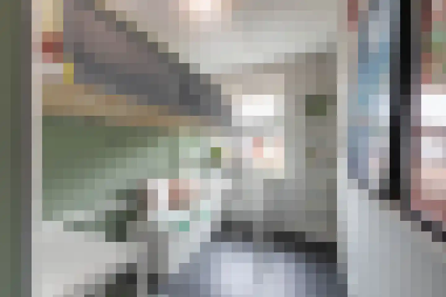Kieftsbeeklaan 55 Almelo thumbnail 22