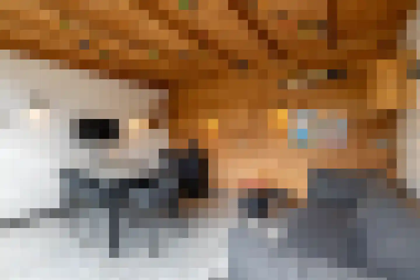 Kieftsbeeklaan 55 Almelo thumbnail 33