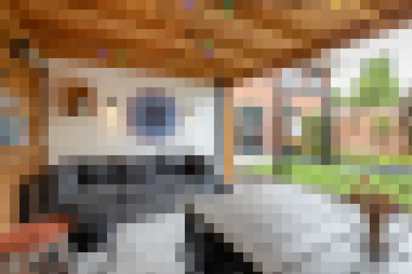 Kieftsbeeklaan 55 Almelo thumbnail 34