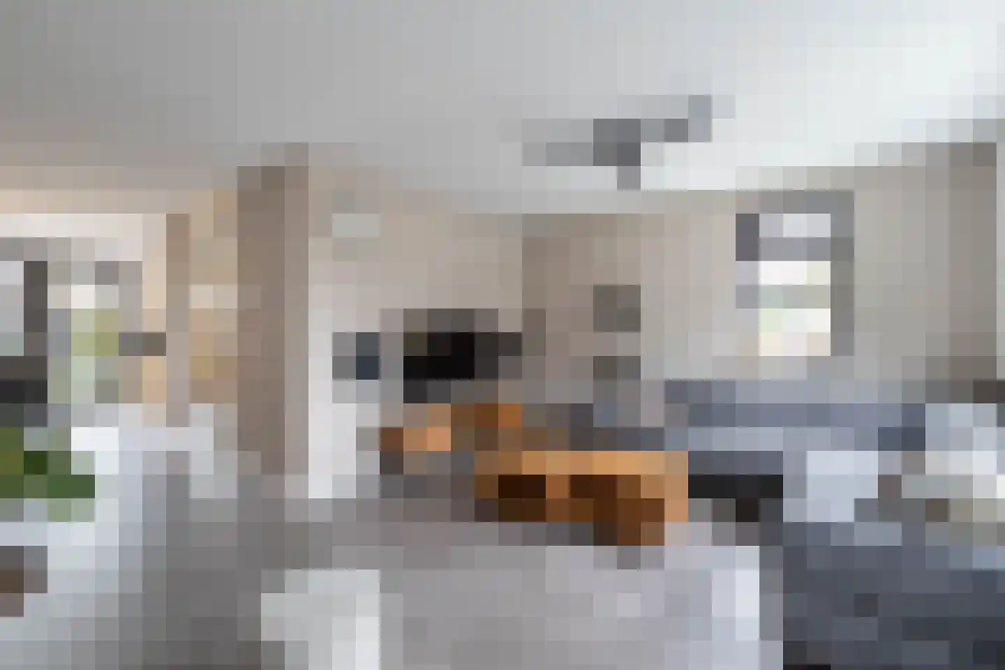 Kieftsbeeklaan 55 Almelo thumbnail 7