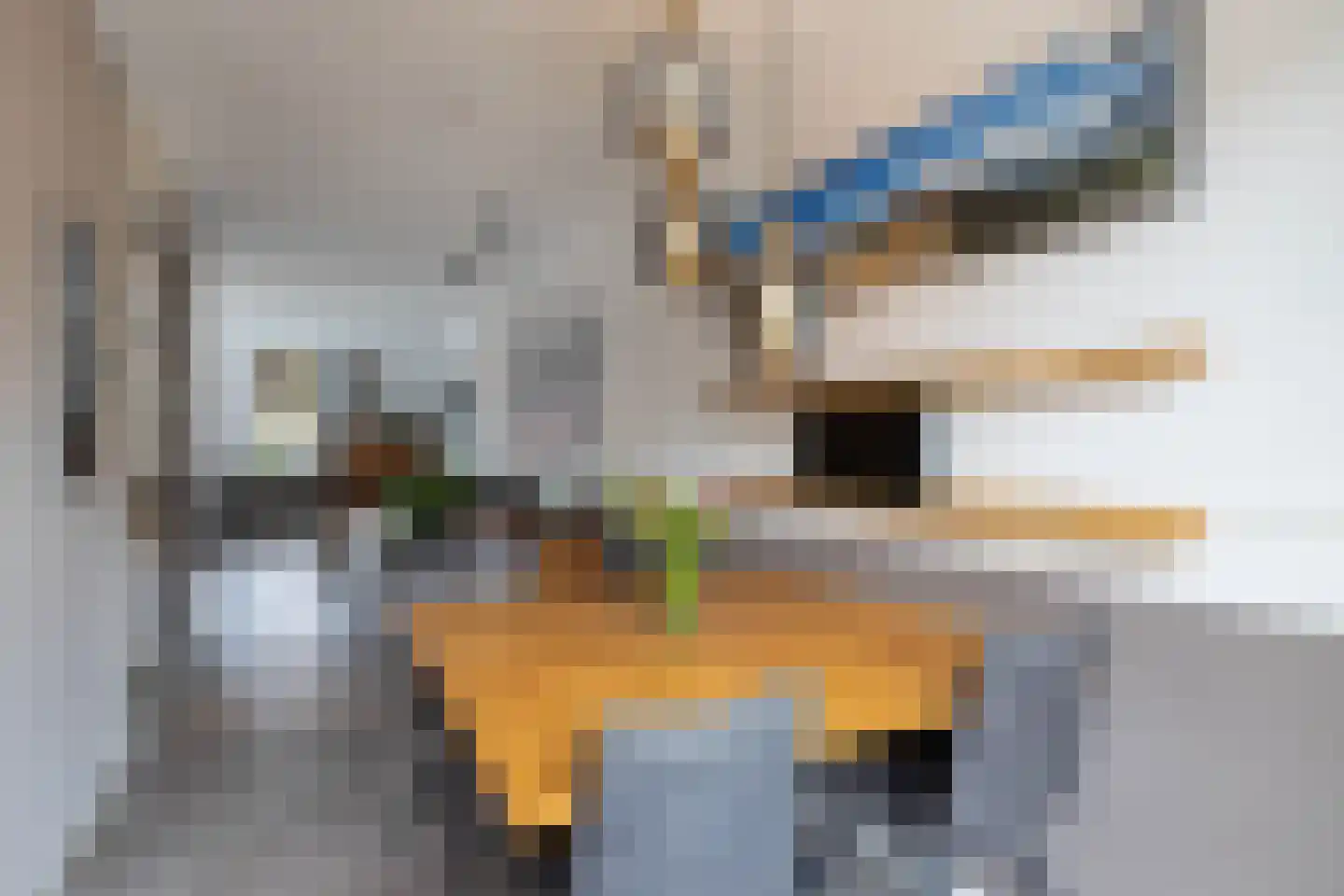 Kieftsbeeklaan 55 Almelo thumbnail 9