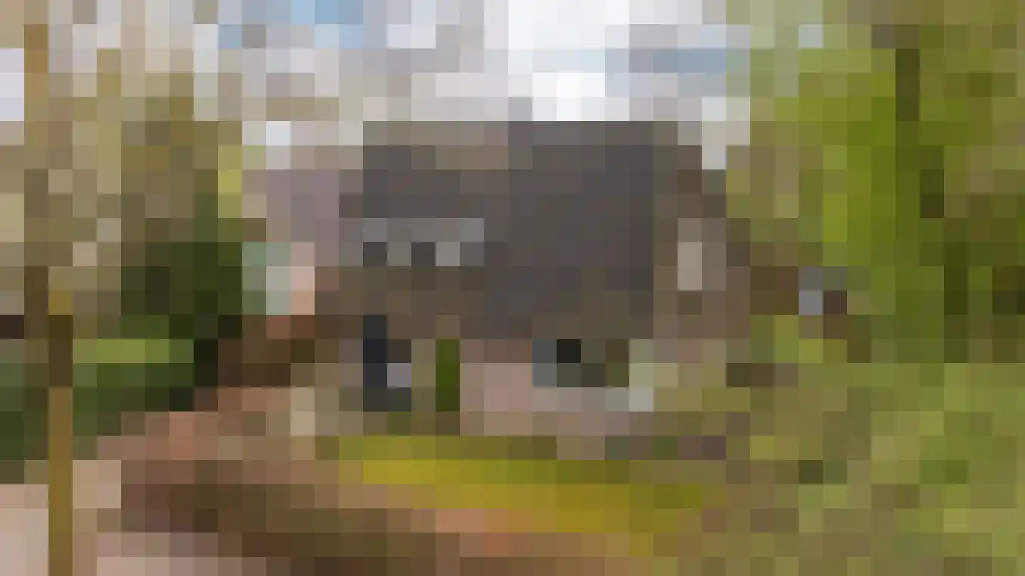 Kieftskamp 47 in Doetinchem