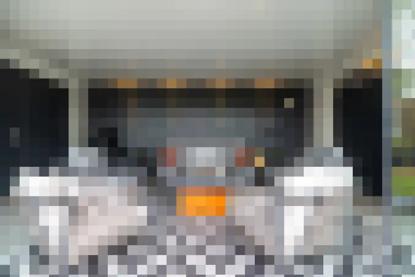 Kieftskamp 47 Doetinchem thumbnail 21