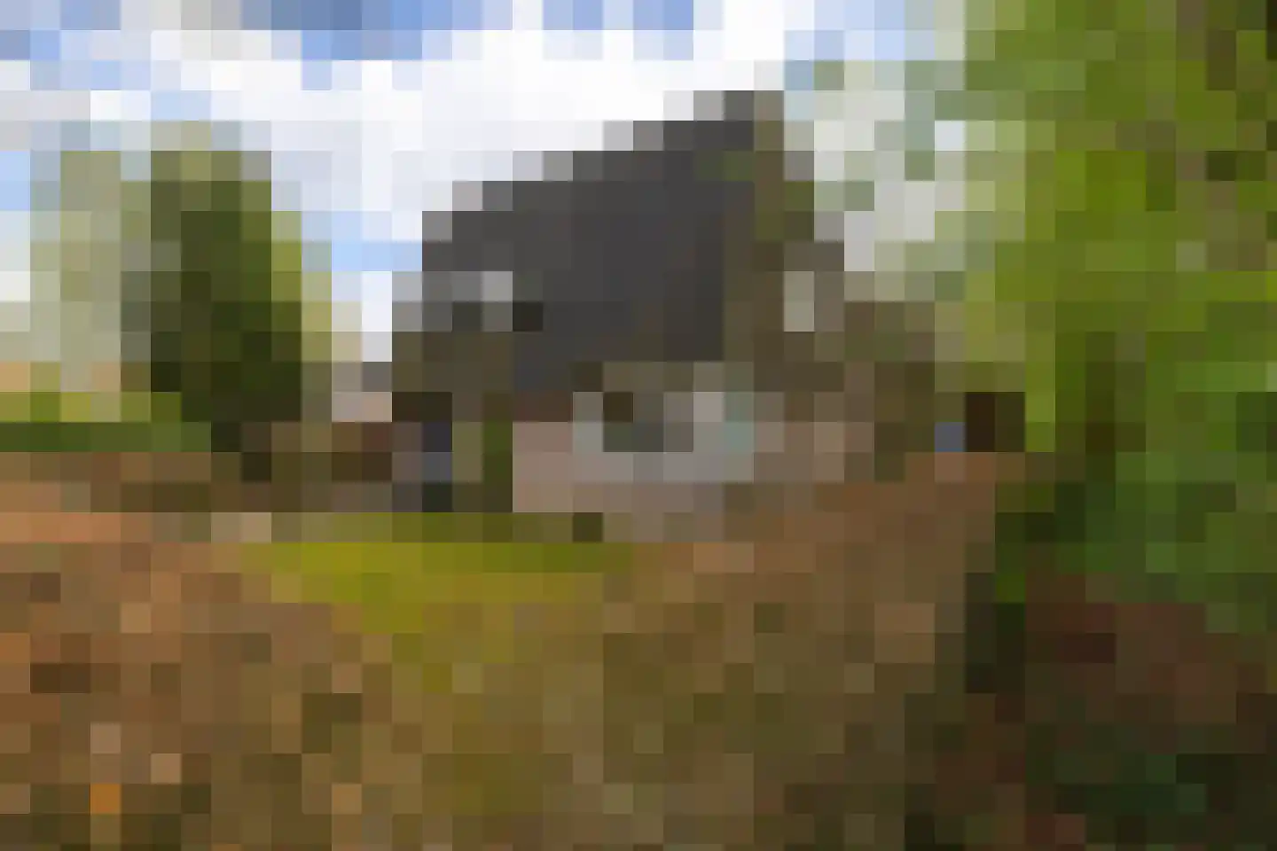 Kieftskamp 47 Doetinchem thumbnail 30